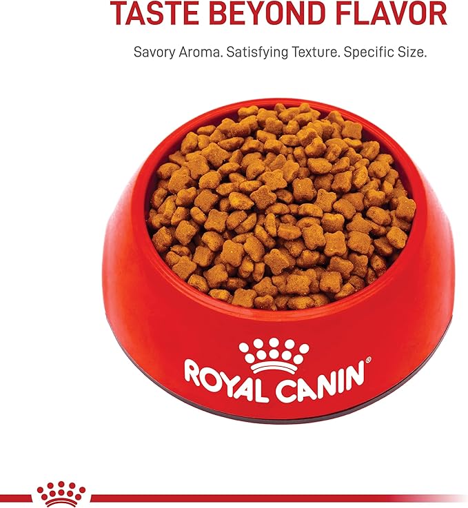 Royal Canin Feline Health Nutrition Kitten Dry Cat Food, 14 lb Bag