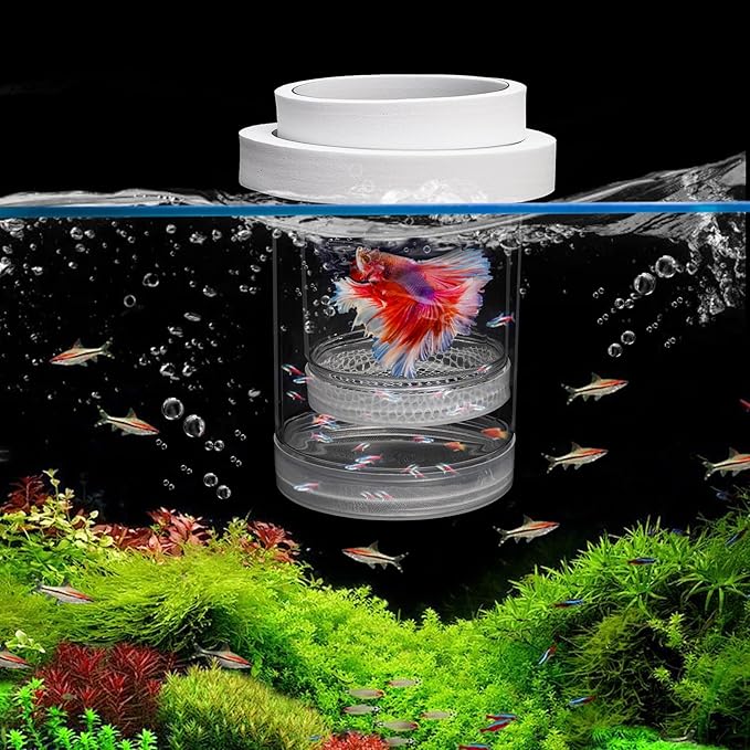 2 Pieces Breeder Box for Fish Tank, Floating Plastic Aquarium Isolation Box, Mesh Fish Nursery Separator Tank Hatchery Incubator for Shrimp, Betta, Clownfish, Guppy, Large 2-Piece Set