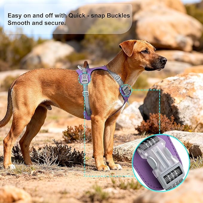 No Pull Dog Harness – Adjustable Reflective Nylon Vest for Small Medium Large Dogs, Escape Proof Training Harness with Leather Control Handle, Lightweight Aluminum Hardware (Purple, L)