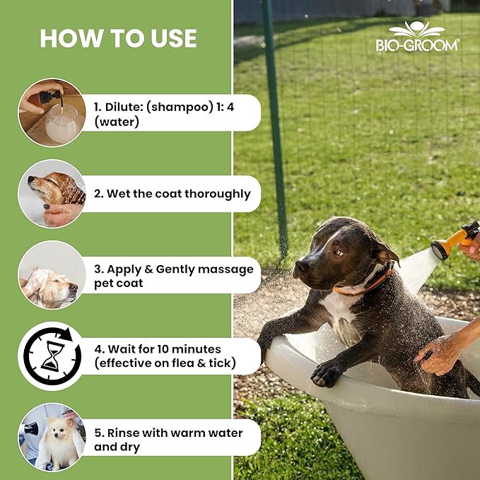 Bio-Groom Flea & Tick Dog Shampoo - Flea and Tick Prevention for Dogs, Cat Flea Treatment, Cruelty-Free, Made in USA, Natural Tick Repellent, Protein-Lanolin Shampoo - 12 fl oz 1-Pack