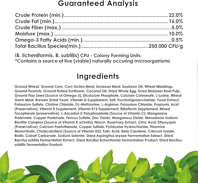Kaytee Exact Hand Feeding High Fat Formula Pet Bird Baby Food For Parrots, Parakeets, Lovebirds, Cockatiels, Conures, Cockatoos, and Macaws, 5 Pound