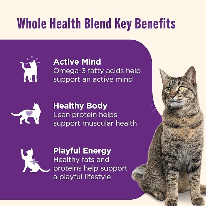 Nutrish Grain Free Wet Cat Food Ocean Fish-A-Licious Whole Health Blend with Real Flaked Ocean Fish & Tuna in Sauce, 2.8 oz. Cup (Rachael Ray) (Pack of 12)