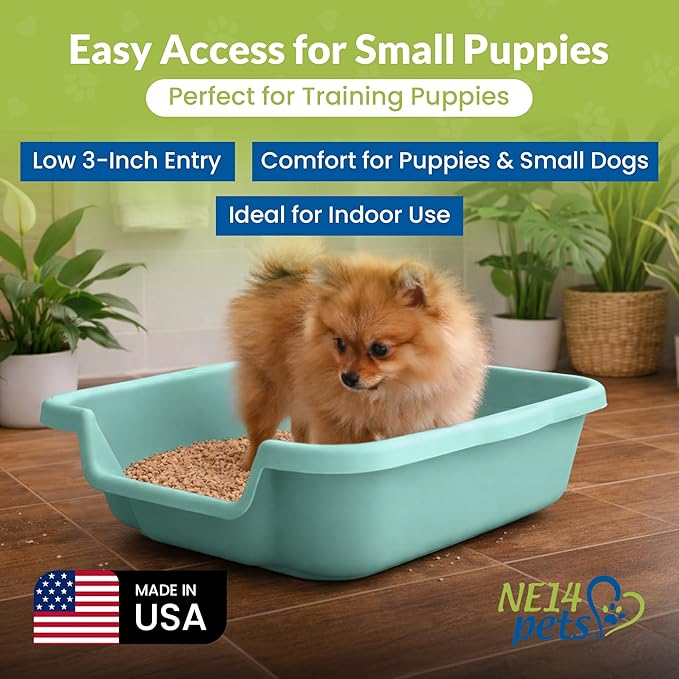 Dog Litter Box, Green Color, Small Size, Durable & Pet Safe Puppy Litter Box, Indoor Open Top Entry Dog Litter Pan, Comfortable for Dogs, Great for Small Dogs up to 6 lbs (2 Pack)