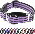 Hikiko Martingale Dog Collars Reflective Nylon Dog Collar with Quick Release Buckle Adjustable Training No Slip Dog Collar (Large, Lavender)