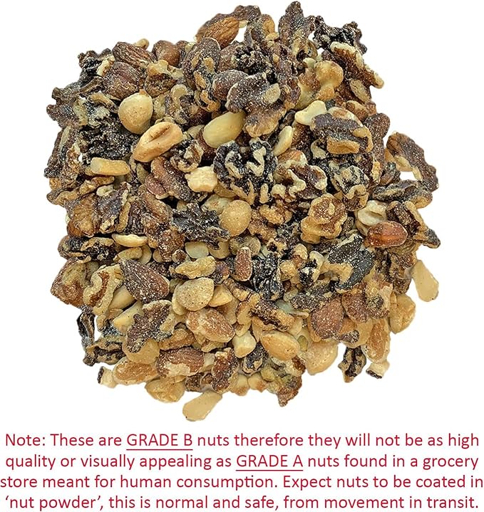 Exotic Nutrition Premium Nut Mix - Unroasted, Unsalted Walnuts, Hazelnuts, Almonds - Food & Treat for Squirrels, Parrots & Other Small Pets (3.5 lb.)