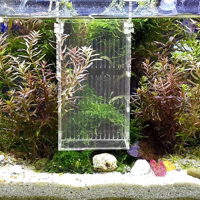 Fish Breeding Box Separator Acrylic Incubator for Betta Guppy Easy to Install Hanging Design Safe Isolation Tank for Fish and Eggs
