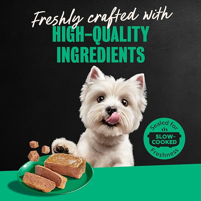Cesar Classic Loaf in Sauce Adult Wet Dog Food Turkey Recipe, 3.5 oz. Easy Peel Trays, 24 Count (Pack of 1)