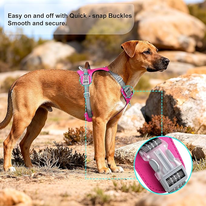 No Pull Dog Harness – Adjustable Reflective Nylon Vest for Small Medium Large Dogs, Escape Proof Training Harness with Leather Control Handle, Lightweight Aluminum Hardware (Hot Pink, XL)
