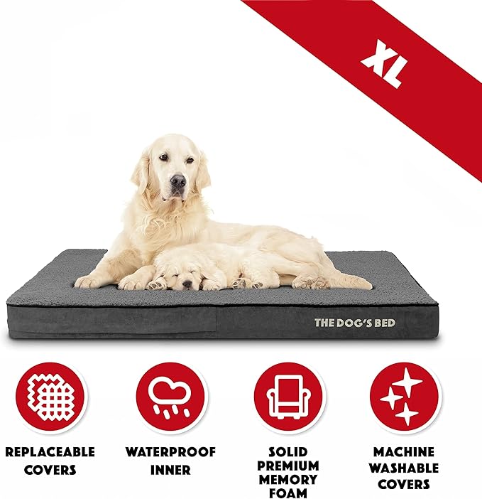 The Dog’s Bed Orthopedic Memory Foam Dog Bed Mattress, Plush Fabric, Grey Plush, XL, 4-Inch