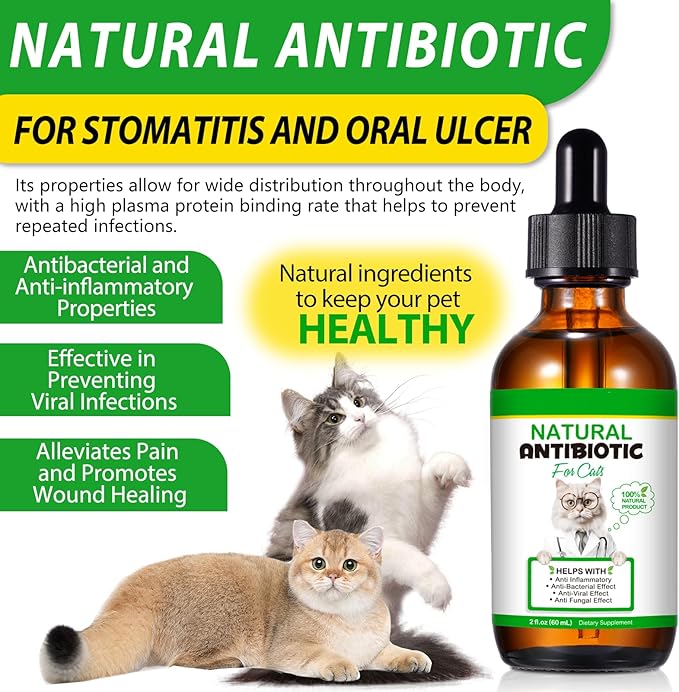 Natural Antibiotic Liquid Drops for Cats - Supports Immune System, Allergy & UTI Relief with Fast Absorption & Digestive Aid - Chicken Flavor for All Ages & Breeds, 2 fl oz (60ml)