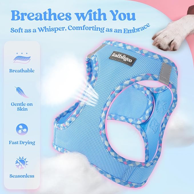 rabbitgoo Dog Harness Small Medium Sized and Leash Set, Step in Soft Light Puppy Vest, Breathable Mesh Pet Harness, Reflective for Safe Easy Walking, Blue & Plaid Trim L