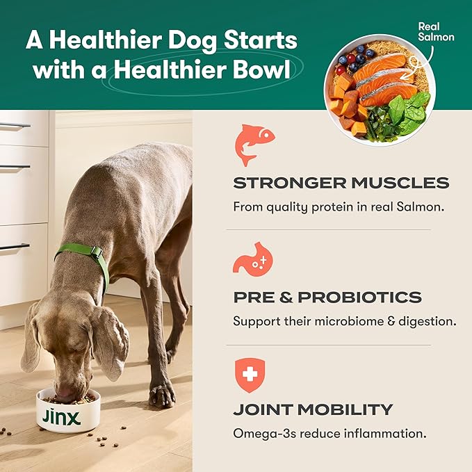 Jinx Premium Dry Dog Food, for All Life-Stages - Real Salmon, Brown Rice & Sweet Potato Kibble with Superfoods for Immune Support & Probiotics for Digestive Support - No Fillers – 4lb