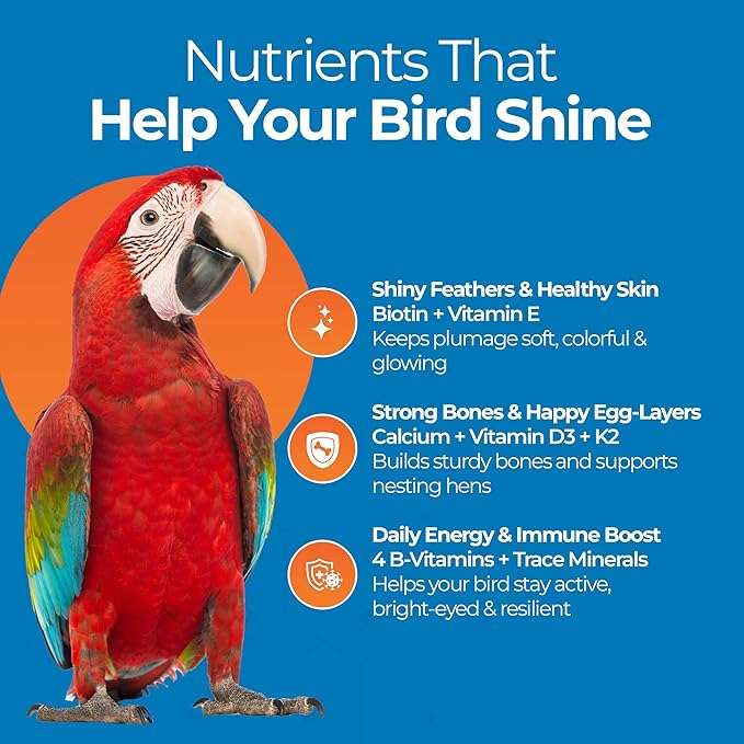 UnRuffledRx FeatherUp! Bird Molting Support & Feather Growth Supplement - for Plucking, Regrowth & Molt - Multivitamin & Amino Acids for All Birds - 90g (240 Servings)