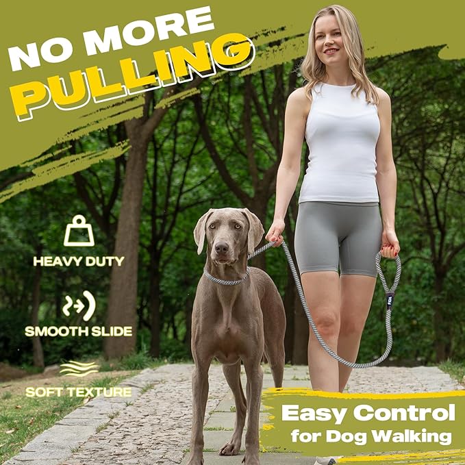 Fida Durable Slip Lead Dog Leash Bulk Pack of 5, Heavy Duty 1/2" x 6 FT Comfortable Strong Rope Slip Lead for Large, Medium & Small Dogs No Pulling Pet Training Leash with Highly Reflective (Grey)