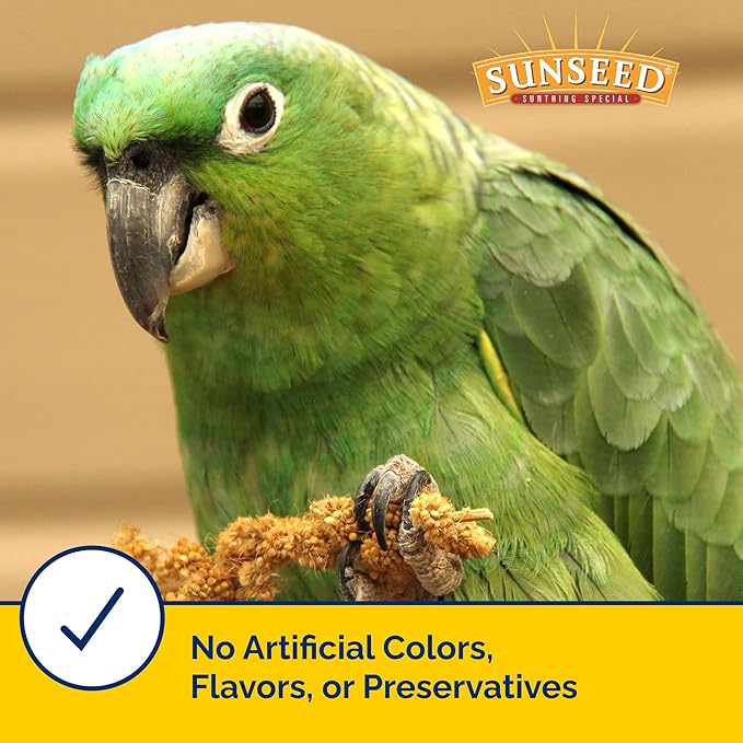 Sunseed Golden Spray Millet Treat for Birds, 21 oz