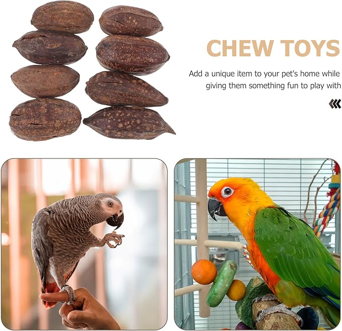 8pcs Natural Dried Fruit Bird Chew for Parakeet Cockatiel Birds Safe Biting Treats for Shredding and Foraging Fun
