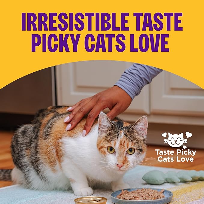 Wellness Complete Health Pate Adult Wet Cat Food, Natural, Protein-Rich, Grain Free, 3 Ounce, 24 Pack, (Chicken & Lobster)