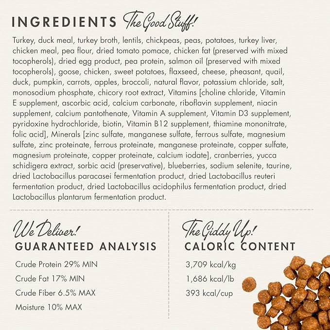 Fromm Four-Star Nutritionals Game Bird Dog Food - Premium Dry Dog Food - Turkey Recipe - 4 lb