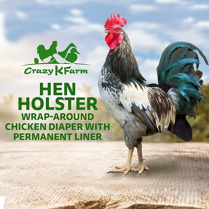 Hen Holster Bird Diaper, Wrap Around - for Hens, Roosters, Ducks, Leak-Proof Design, Comfortable Fleece Strap Bird Harness with Sewn-in Liner, Secure Hook and Loop Closure - XL, Black