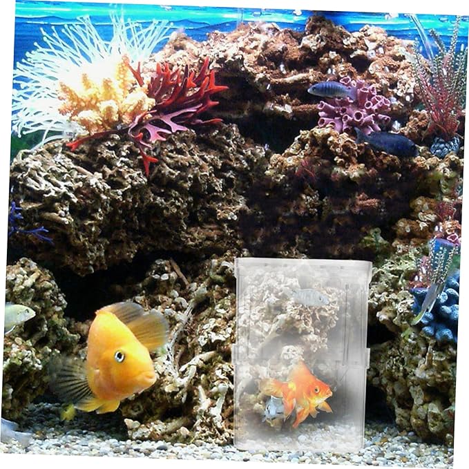 BESPORTBLE 4pcs Small Fish Tank Isolation Boxes for Guppy Breeding Aquarium Separation Container Suction Cups for Newborn Fish and Pregnant Care