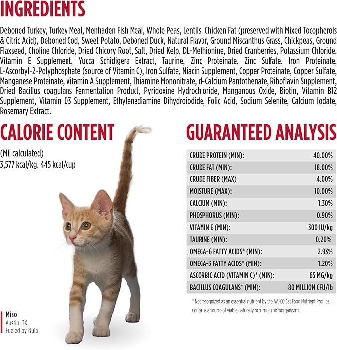 Nulo Freestyle High Protein Cat & Kitten Food, Turkey & Duck Recipe - Natural Grain-Free Dry Cat Food with Omega Fatty Acids & Probiotics, 4 lb Bag