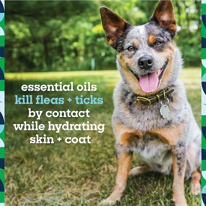 Pet Life Unlimited Natural Flea & Tick 3-Step Kit for Dogs, Plant-Based Prevention and Treatment, Includes Dog Spray, Home Spray & Shampoo, Kill & Repel Fleas, Ticks & Eggs, Soothes Skin