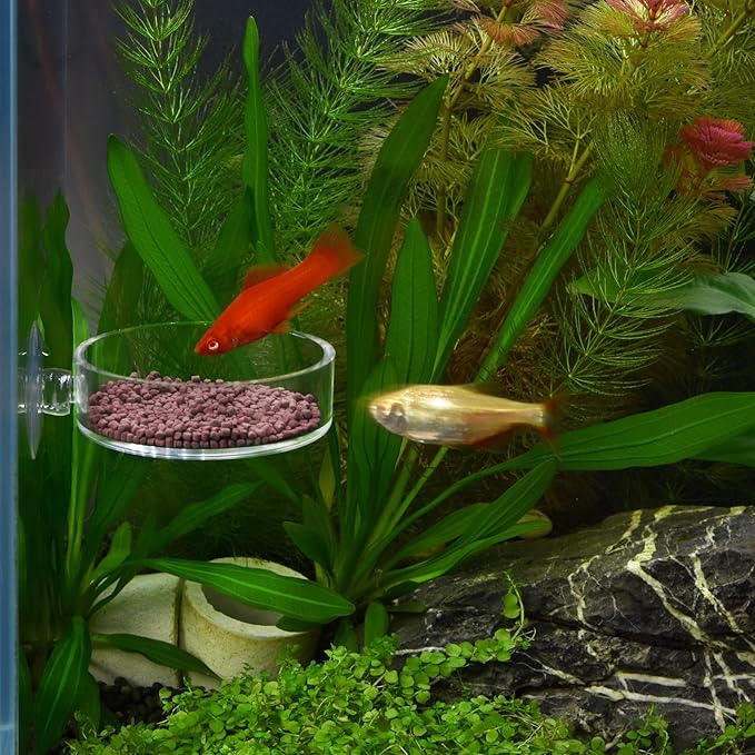 Aquarium Shrimp Feeder Dish Round Fish Tank Feeder Bowls Clear Aquarium Feeding Cup with Suction Cup