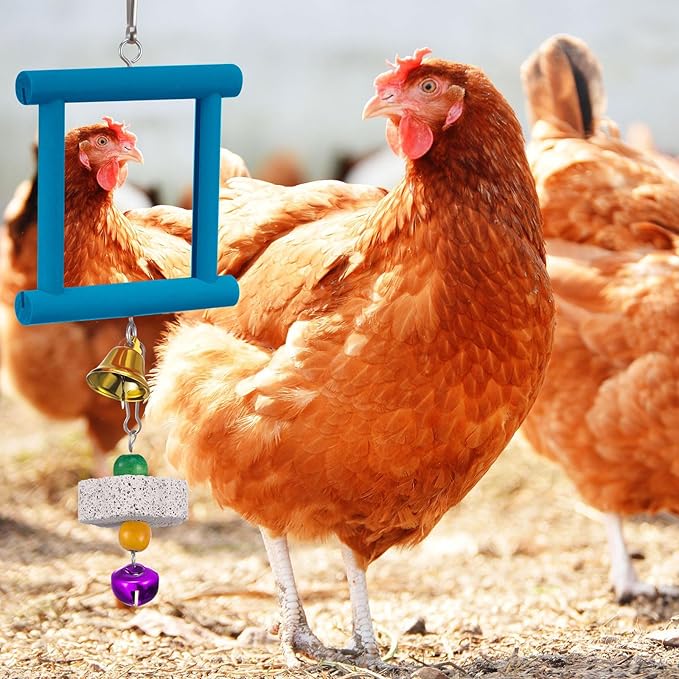 Sumind 2 Pieces Chicken Mirror Toys Hanging Swing Mirror with Bell Wooden Pecking Toy and 4 Pieces Beak Grinding Molar Stones for Hens Birds Parrots(Blue, Yellow)