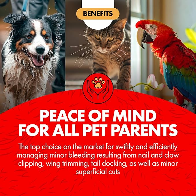 Miracle Care Kwik Stop Styptic Powder for Dogs, Cats and Birds, 6 Ounce, Fast-Acting Blood Stop Powder with Pain Relieving Benzocaine