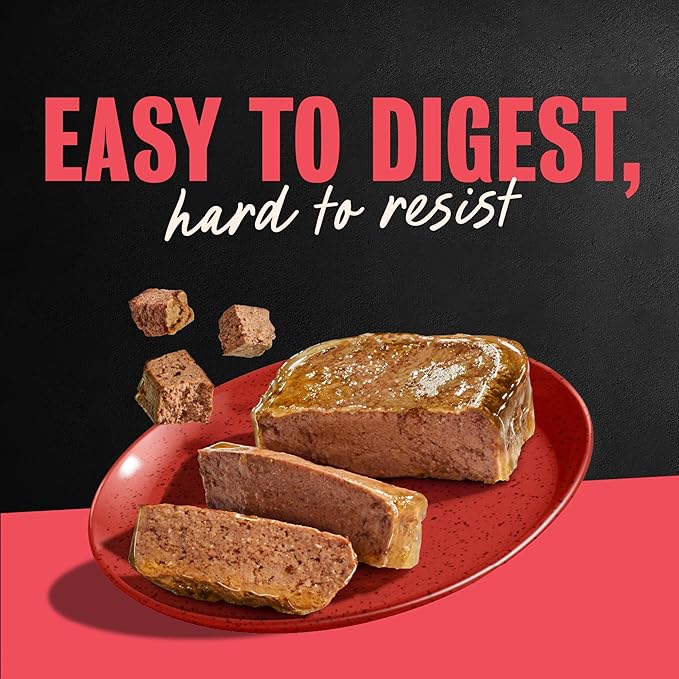 Cesar Classic Loaf in Sauce Adult Wet Dog Food Beef Recipe, 3.5 oz. Easy Peel Trays, 24 Count (Pack of 1)