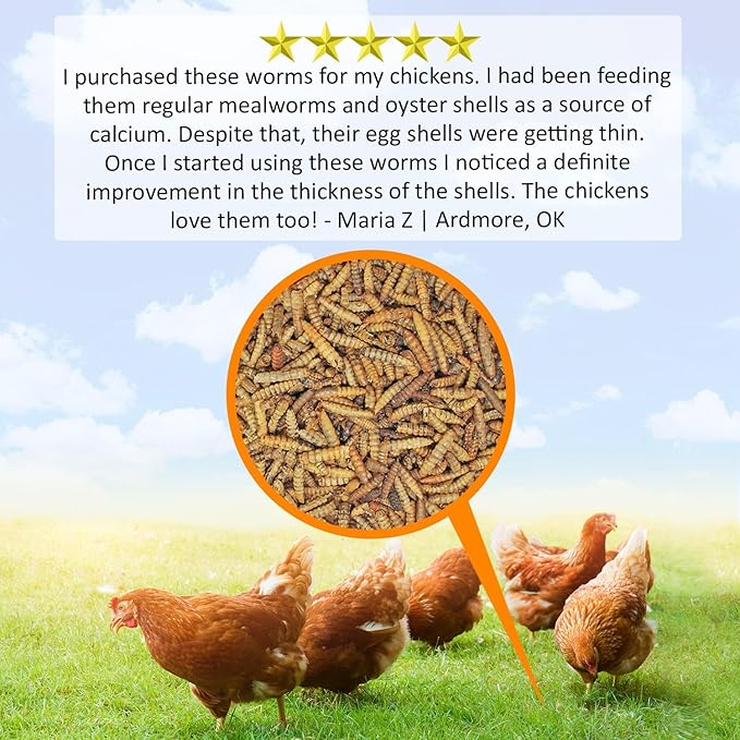 Exotic Nutrition 80 LB Bulk Dried Black Soldier Fly Larvae - High-Calcium Insect Treat - Chickens, Wild Birds, Bluebirds