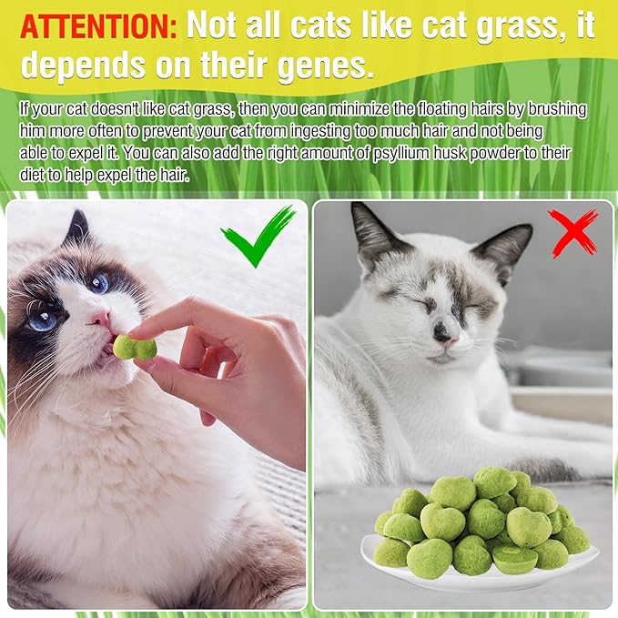 Cat Grass Teething Sticks, 3.52oz Edible Freezed Drying Cat Grass Treats, Cats Snacks for Hairball Removal and Dental Care M
