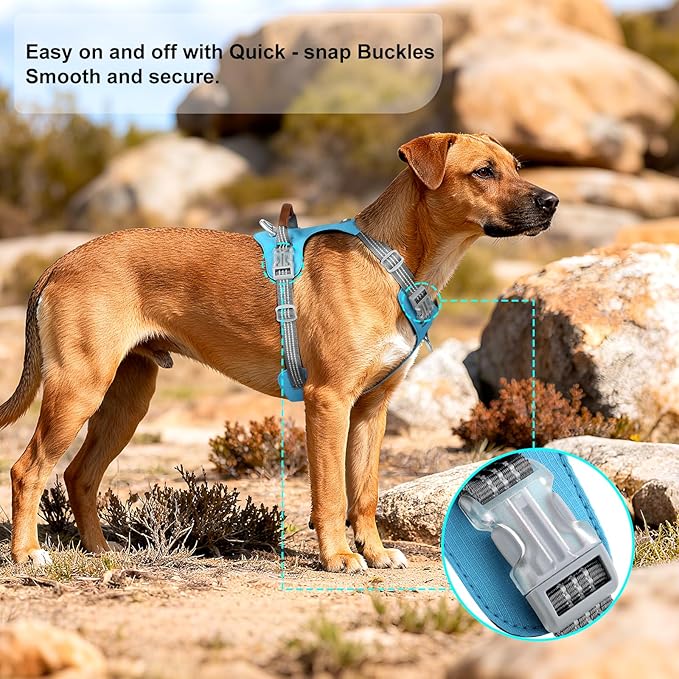 No Pull Dog Harness – Adjustable Reflective Nylon Vest for Small Medium Large Dogs, Escape Proof Training Harness with Leather Control Handle, Lightweight Aluminum Hardware (Cyan, S)