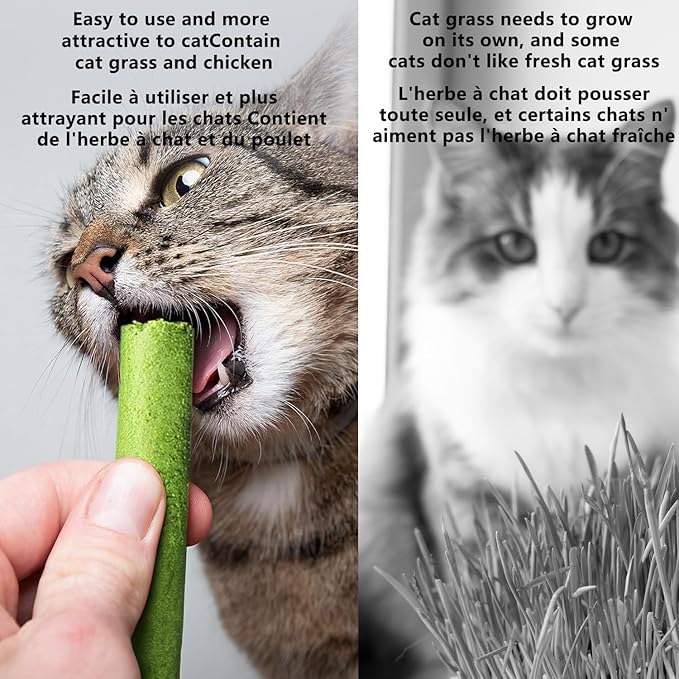 20Pcs Cat Grass Stick Snacks (100g), Freeze Dried Snacks, Catnip, for Cat Dental Care and Hairball Removal, Pampering Gastrointestinal System