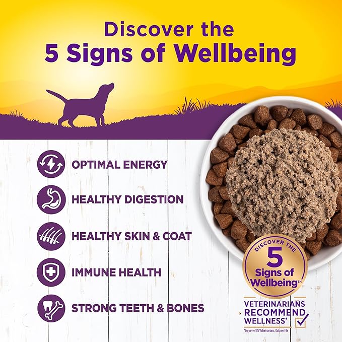 Wellness Complete Health Pate Adult Canned Wet Dog Food, Wholesome Grains, Natural, Chicken and Sweet Potato, 12.5 oz, Pack of 12 Cans