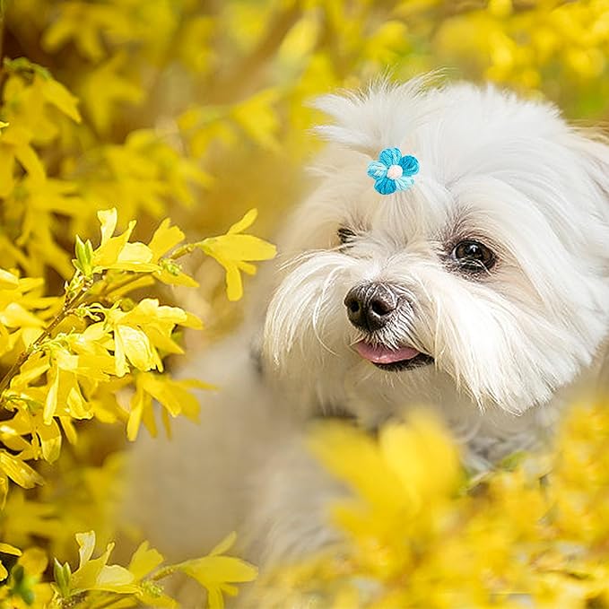 PET SHOW 10Pairs/20Pcs Puff Flower Small Dog Hair Bows Gradient Color Hair Bows with Rubber Band for Small Medium Dogs Topknot Yorkie Girl Boy Puppy Cats Pet Grooming Hair Accessories