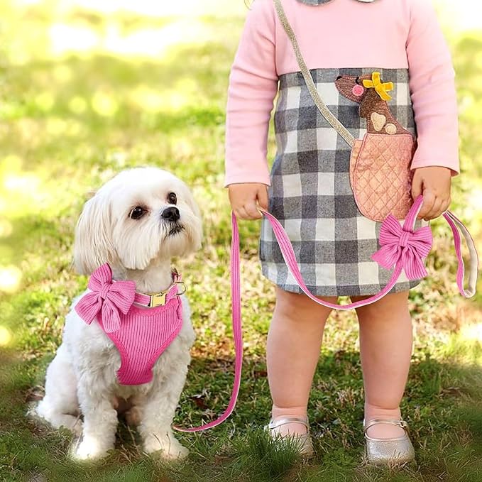Didog Cute Small Dog Harness Collar and Leash Set with Bowtie, Breathable Soft Mesh Padded Puppy Harness, Dog Harness for Small Dogs Daily Walks Parties, Holiday Gatherings & Gifts, Hot Pink, M