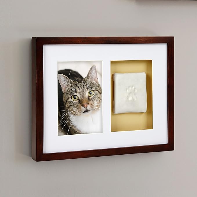 Pearhead Pawprints Wall Frame Keepsake – Espresso Wood Shadowbox Kit for Dogs & Cats with Air‑Dry Clay Imprint, Photo Display 4" x 6"