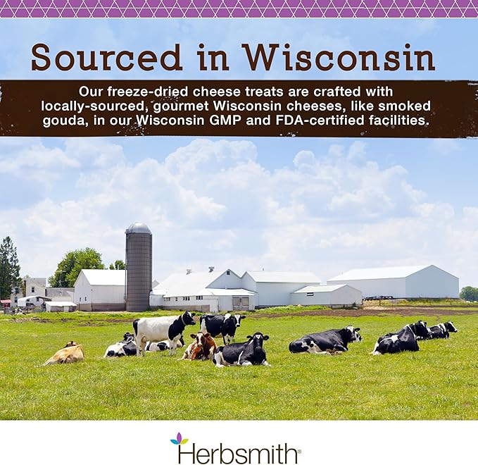 Herbsmith Sassy Cat Treats – Freeze-Dried White Cheddar – Human-Grade Wisconsin Cheese – Natural Snack for Picky Eaters – 1 Ingredient – USA Made – 4.6 oz