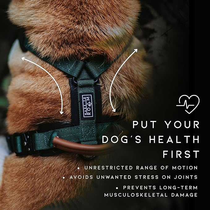 MADE TO ROAM Premium Explorer Harness - Y-Shaped Dog Harness with Adjustable Durable Nylon, Soft Padding, Metal Buckles and Leather Handle for Small, Medium, Large Dogs (California Horizon, Size 4)