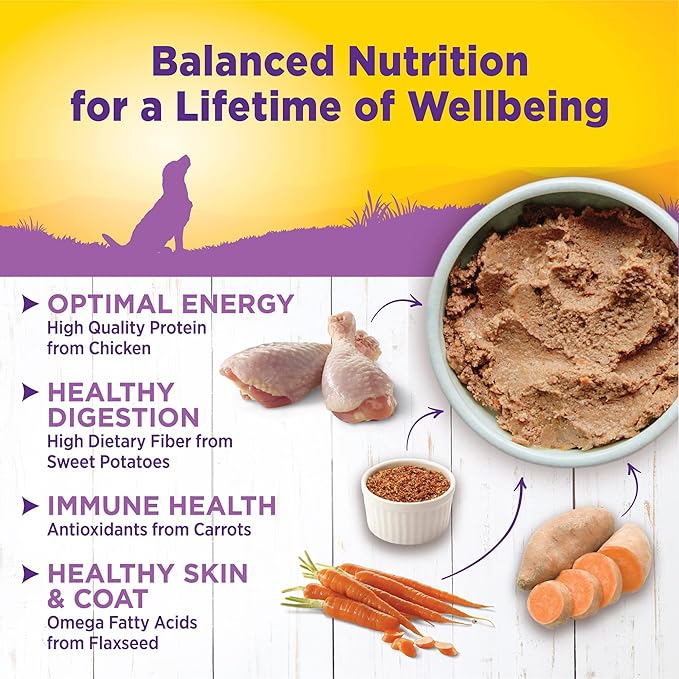 Wellness Complete Health Pate Age Advantage Senior Canned Wet Dog Food, Wholesome Grains, Natural, Chicken and Sweet Potato, 12.5 oz, Pack of 12 Cans