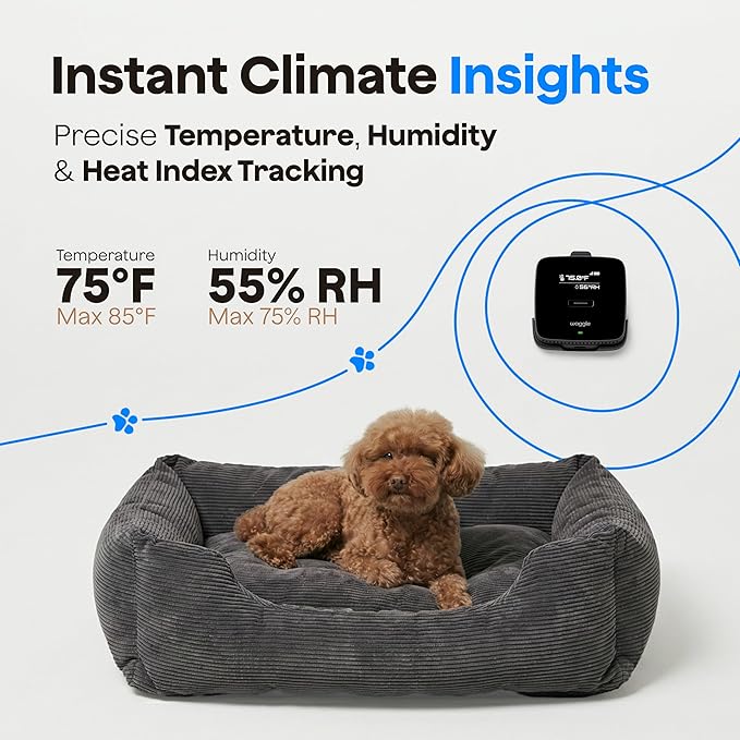 Waggle Dog Safety Bundle – Includes Temperature Monitor, Mini Camera (1080p HD, 128GB SD, 2-Way Audio) & WaggleCam 2K Camera with Treat Dispenser, Night Vision & AI Tracking