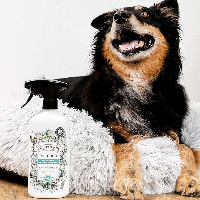 Pet-Pourri Pet Odor Air + Fabric Odor Freshener Spray, Pawsitively Fresh, 16 Fl Oz (Pack of 2)