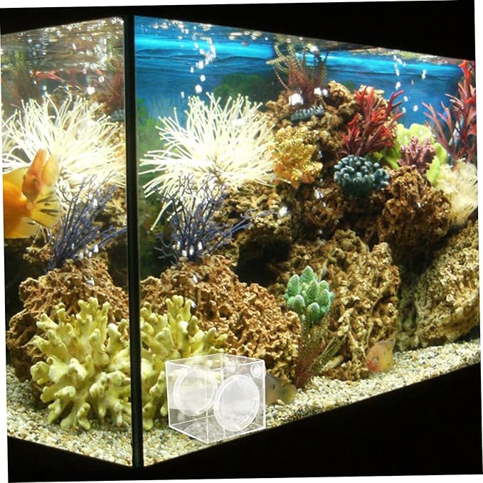 Kisangel Fish Breeding Box Acrylic Isolation Tank for Aquatic Fry Easy to Install Cups Fish Tank Accessory for Newborn