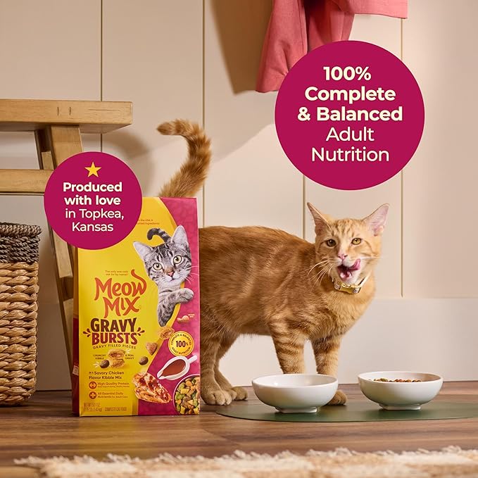 Meow Mix Gravy Bursts Dry Cat Food,Chicken,3 LB Bag,(Pack of 2)