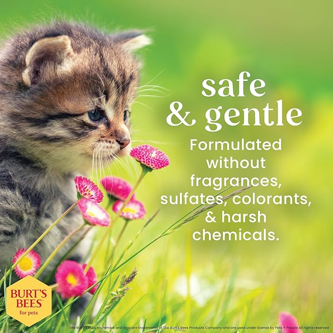 Burt's Bees for Pets Tearless Kitten Shampoo with Buttermilk and Honey, Gentle Cat Shampoo for Itchy Skin and Sensitive Coats, Easy Rinse Low Lather Formula, 99.3% Natural Origin, 10 Fl Oz