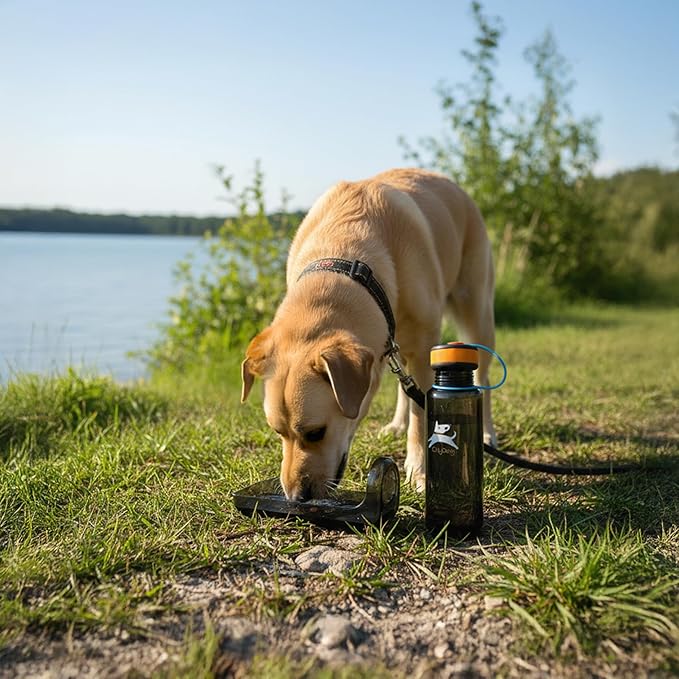 OllyDog OllyBottle | Tritan Dog Water Bottle with Detachable Bowl | BPA Free Leakproof Pet Dispenser | Hiking Travel (1L, Chromatic)