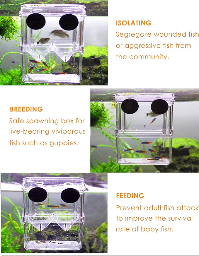 Acrylic Floating Fish Hatchery Isolation Box, Double Layer Fry Hatching Incubator Breeding Rearing Trap, Aquarium Tank Fish Parenting Container Divider with Suction Cups