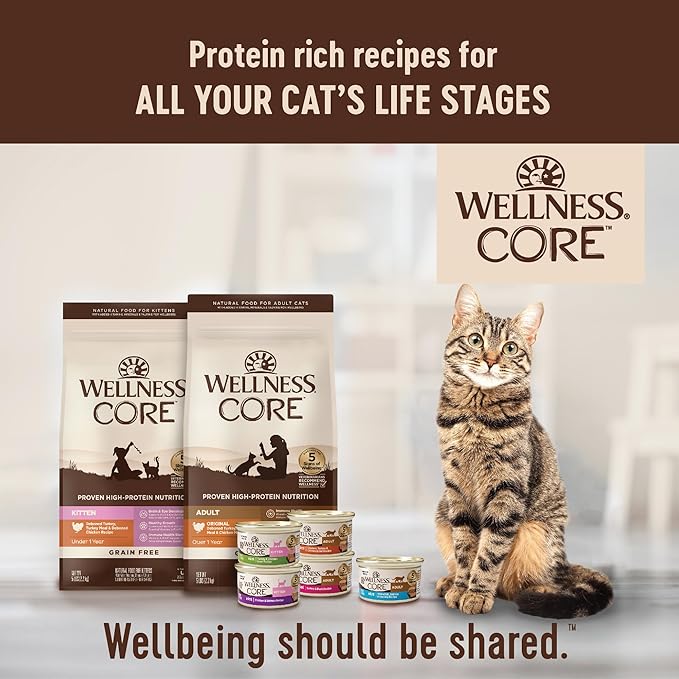 Wellness CORE Adult Dry Cat Food for Indoor & Outdoor Cats, Grain-Free, Natural, Original Turkey, Turkey Meal & Chicken (5 Pound Bag)