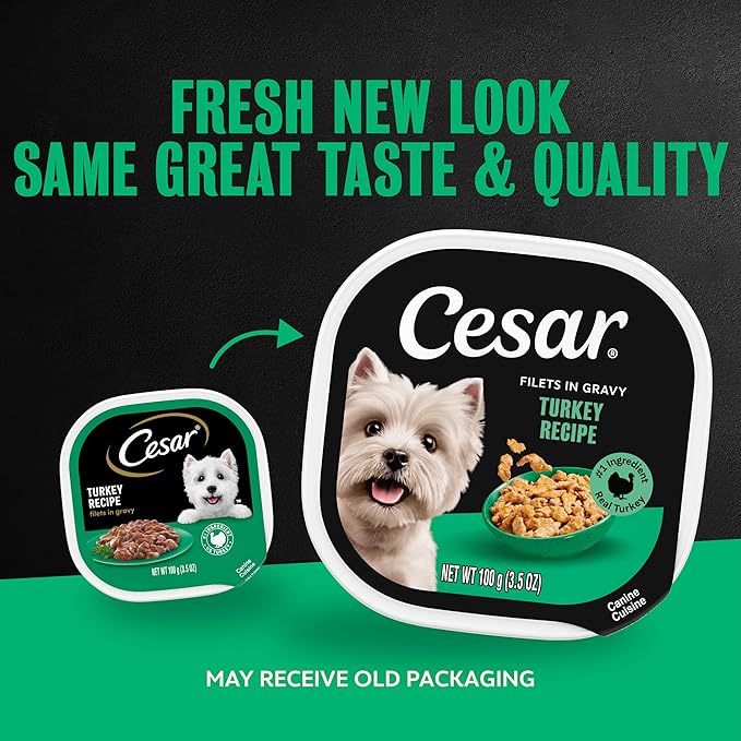 Cesar Filets in Gravy Adult Wet Dog Food Turkey Recipe, 3.5 oz. Easy Peel Dog Food Tray, 24 Count (Pack of 1)